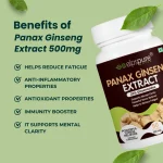 Panax Ginseng Extract 500mg Veg Tablets - Image 3