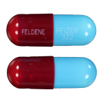 Feldene (Piroxicam)